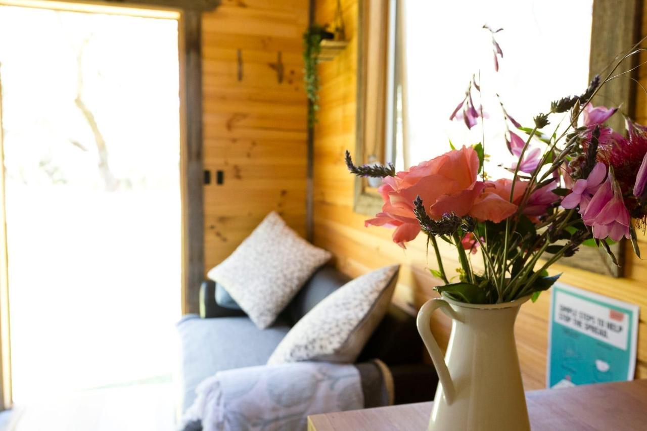 Ardingly Tiny House Villa Newham Екстериор снимка